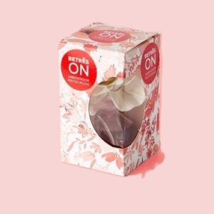 BETRES AMBIENTADOR FLOR FRUTOS ROJOS