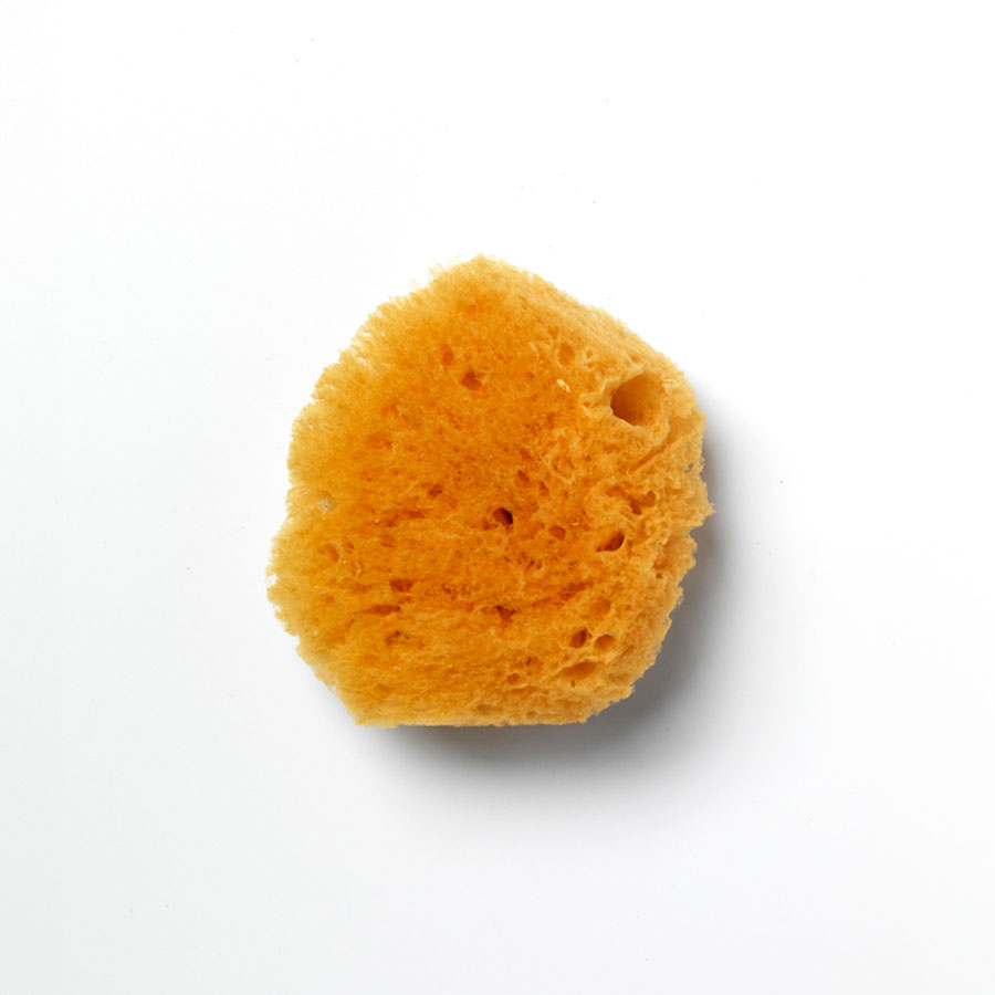 ESPONJA INFANTIL NATURAL APOSAN ESPONJA INFANTIL NATURAL APOSAN