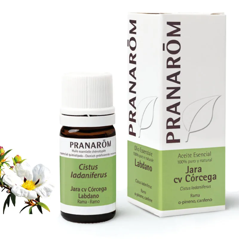 JARA CORCEGA PRANAROM 5 ML JARA CORCEGA PRANAROM 5 ML